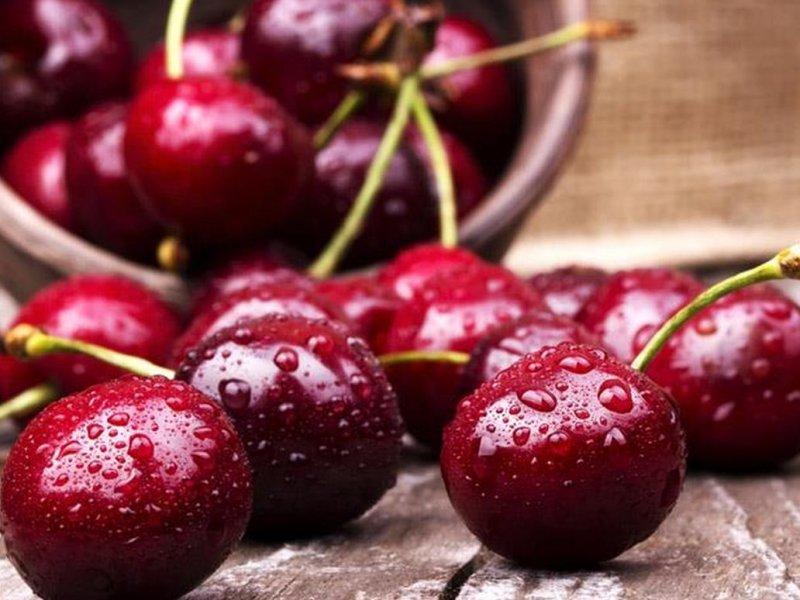 Вишня купить саженцы из питомника в Анжеро-Судженске